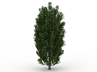 园林观赏树模型3d模型