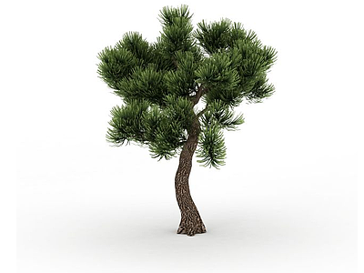 室外松树模型3d模型