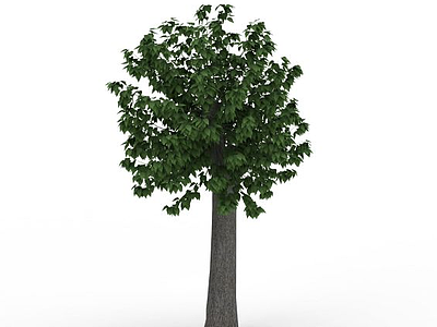 园林景观树模型
