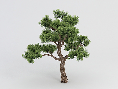 室外松树模型