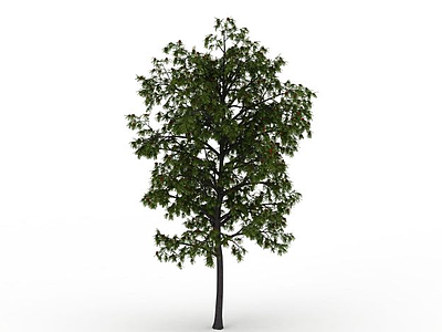 公园装饰树模型3d模型