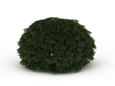 球形灌木模型3d模型