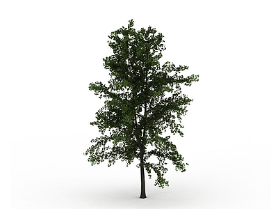 景观植被模型3d模型