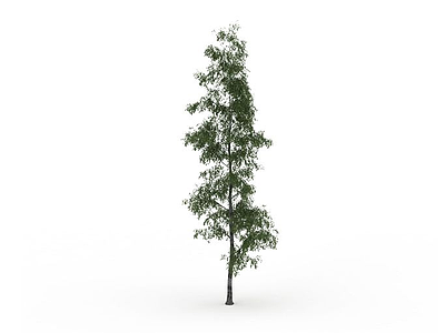 园林观赏树木模型3d模型