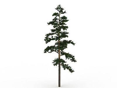 3d园林树免费模型