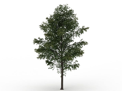3d绿色景观树免费模型
