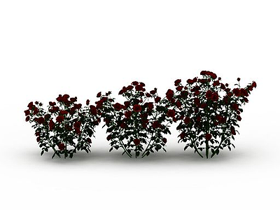 红花植物模型3d模型