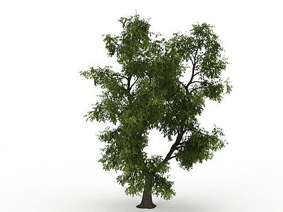 3d观赏绿树免费模型