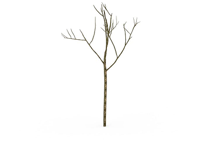 干树枝模型