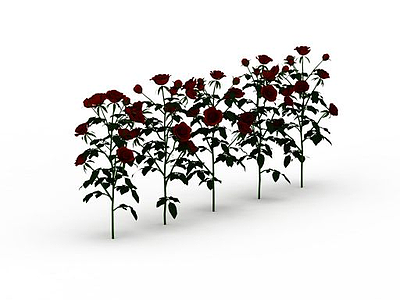 3d玫瑰花模型