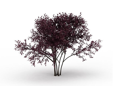 紫色景观树模型