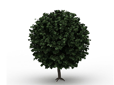 茂盛球形绿树模型3d模型