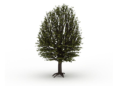 草地上的树木模型3d模型