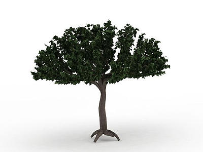 3d观赏树免费模型