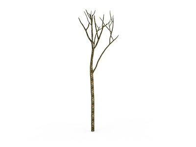 干树枝模型3d模型