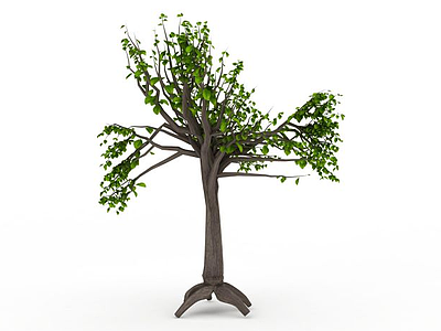3d绿色观赏树木模型