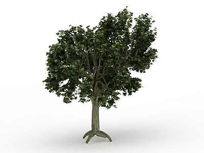 绿叶景观树模型3d模型