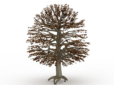 3d椭圆公园树模型