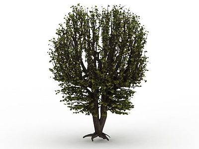 3d绿叶分支树木模型