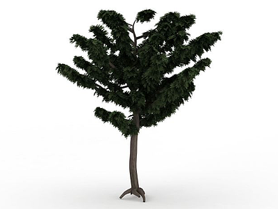 分枝型景观植物模型3d模型
