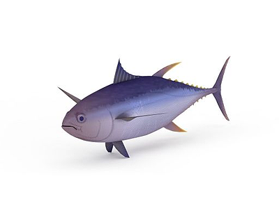 3d深水鱼免费模型