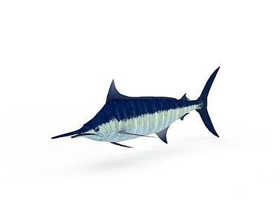 3d蓝色旗鱼免费模型