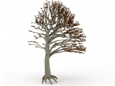3d扇形观赏树模型