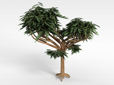 3d分支景观树模型