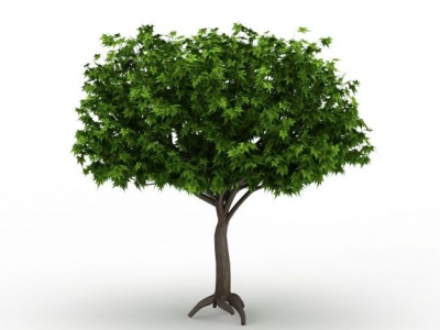 圆形绿色观赏植被模型3d模型
