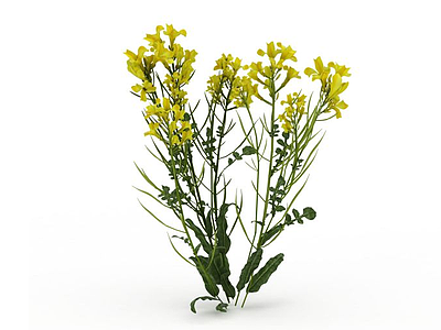 黄色花丛模型3d模型