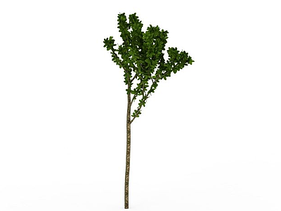 园林装饰绿树模型
