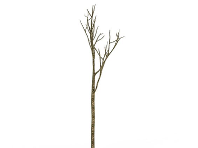 景观树木模型3d模型