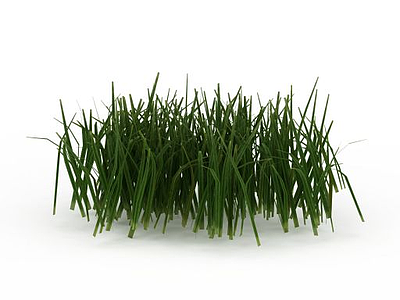 绿色草丛模型