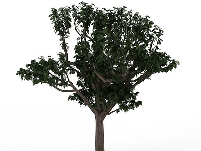 多分枝树木模型3d模型