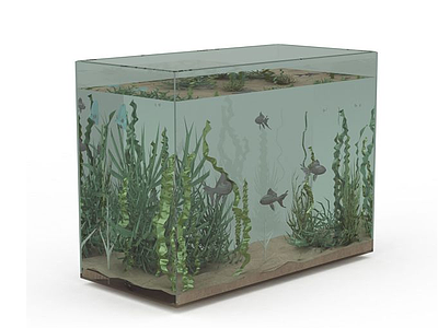 3d生态鱼缸免费模型