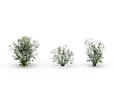 花草植物模型3d模型