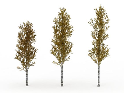 秋树模型3d模型