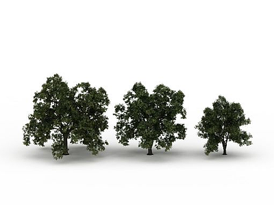 3d路边树免费模型
