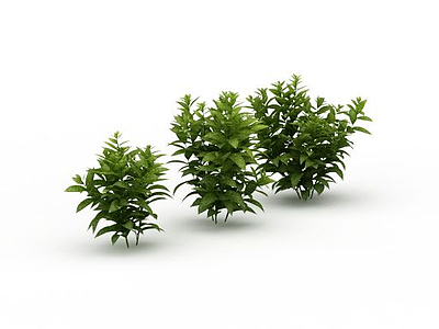 园林绿植模型3d模型