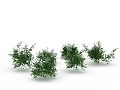 景观绿植模型3d模型
