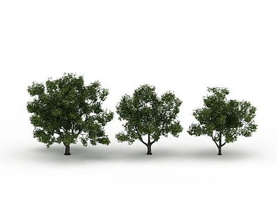 3d景观树免费模型