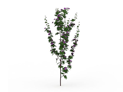紫色花模型3d模型