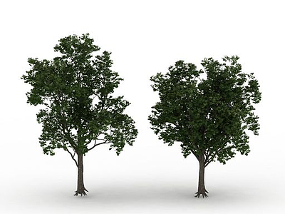 3d路旁树免费模型