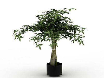 3d盆栽绿植免费模型