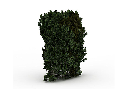 摄影用仿真绿植模型3d模型