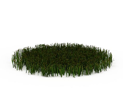 绿植模型