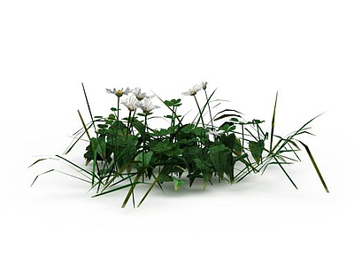 绿色植物模型3d模型