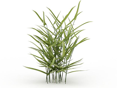 3d竹子模型