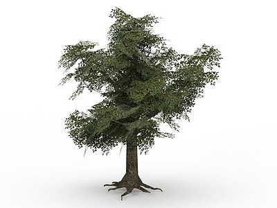 3d绿树免费模型