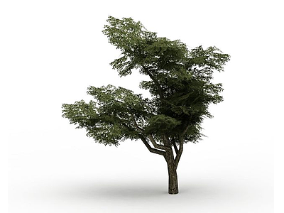 3d景观树免费模型